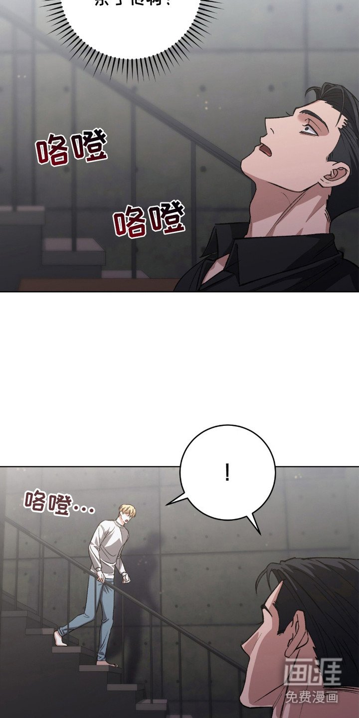 第3章：电击器