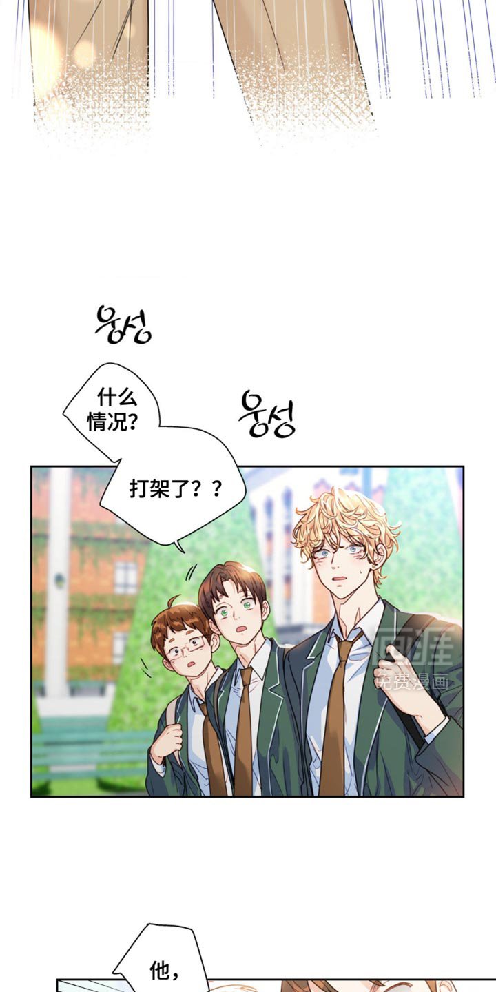 第19章：不能打架