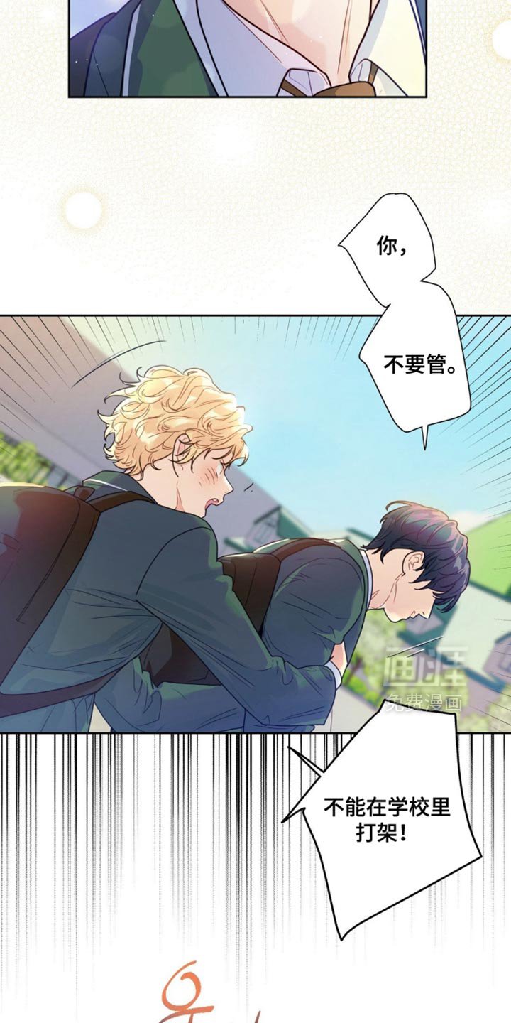 第19章：不能打架