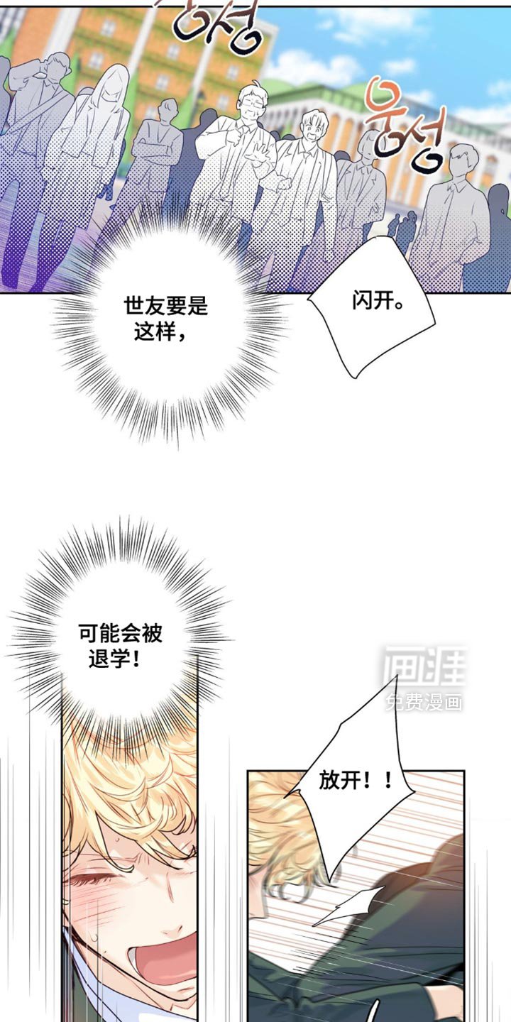 第19章：不能打架