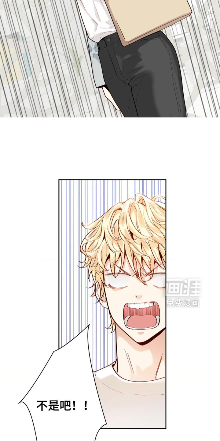 第21章：怀疑