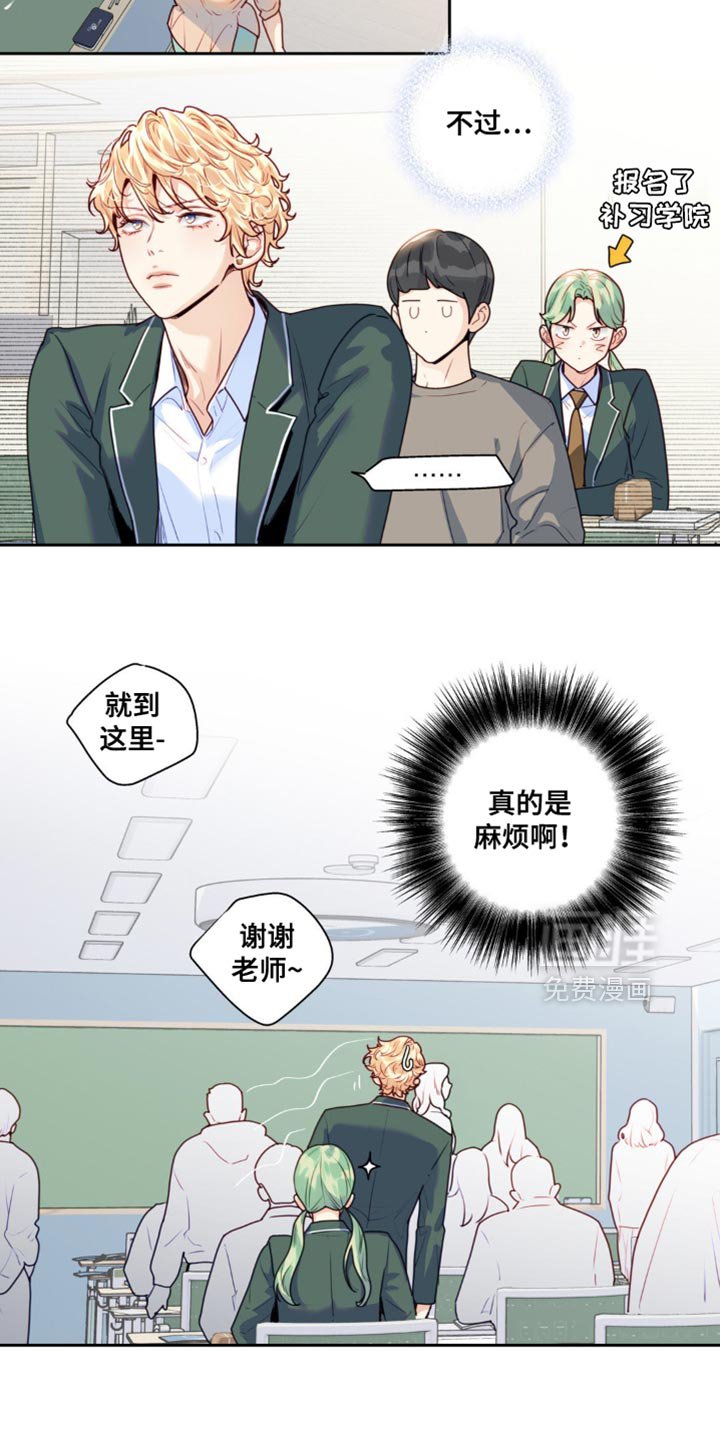 第26章：我真的很喜欢你