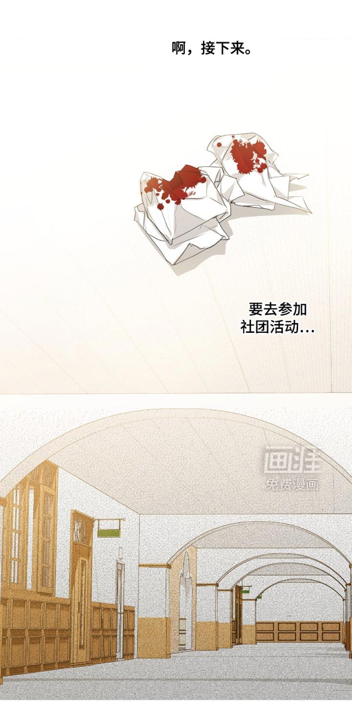 第33章：失败者
