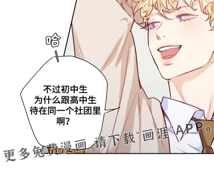 第33章：失败者