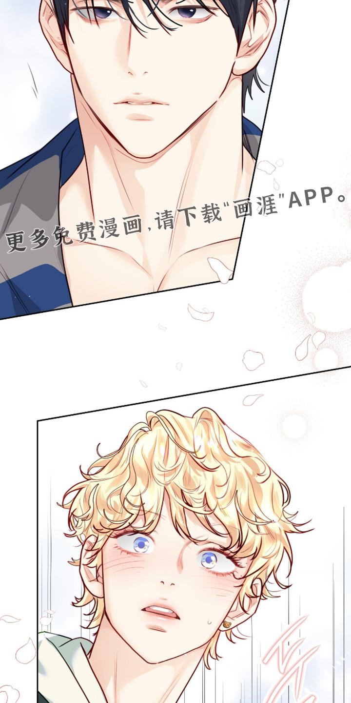 第36章：跟踪