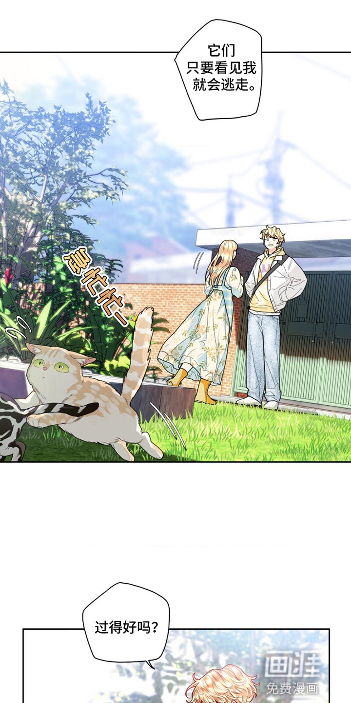 第8章：外婆