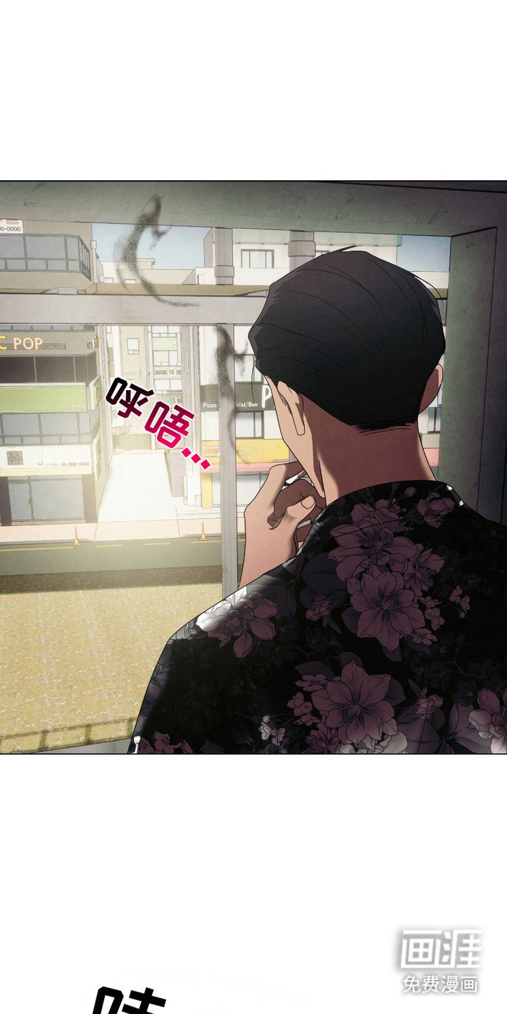 第13章：为什么