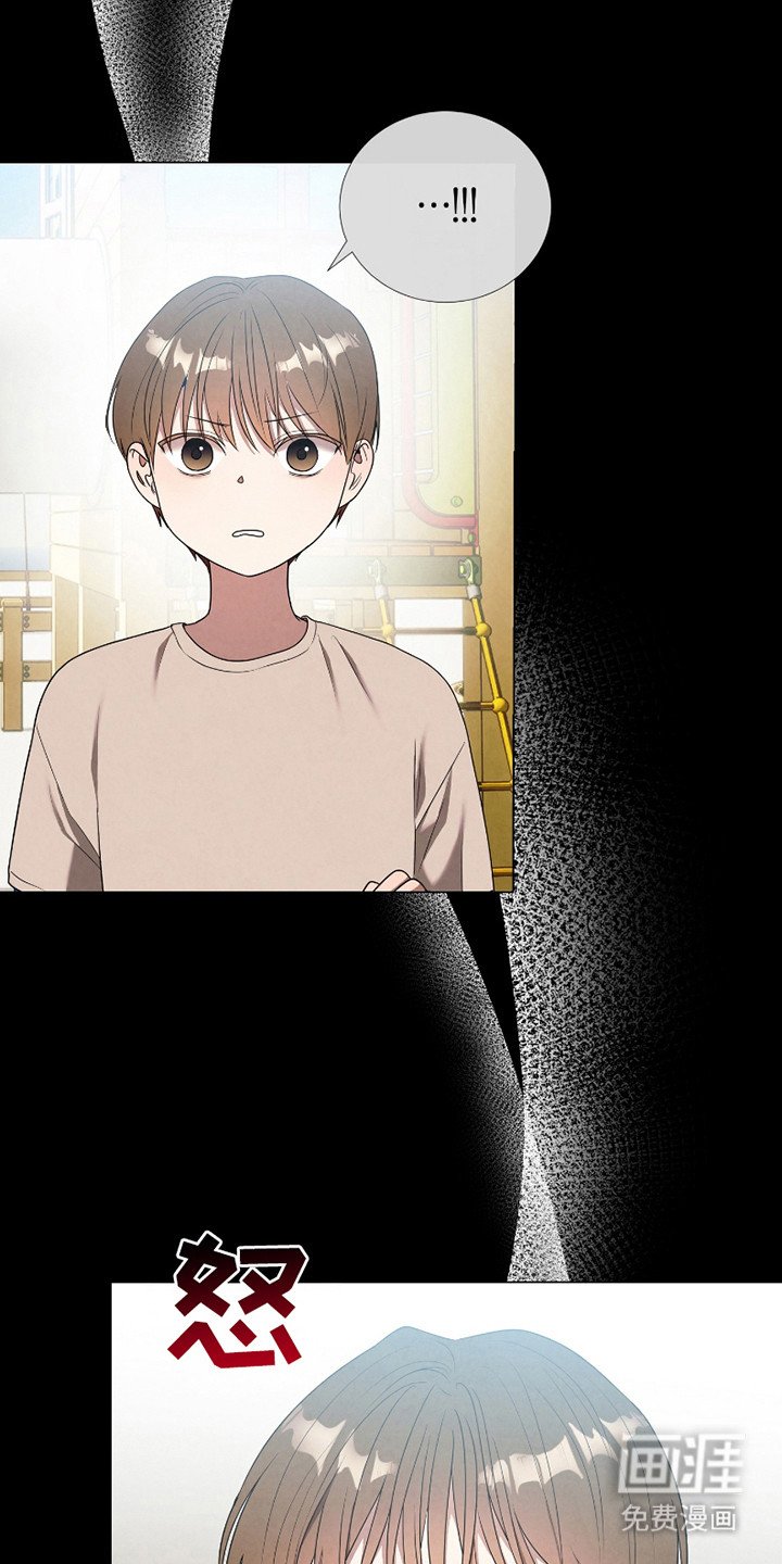 第13章：为什么