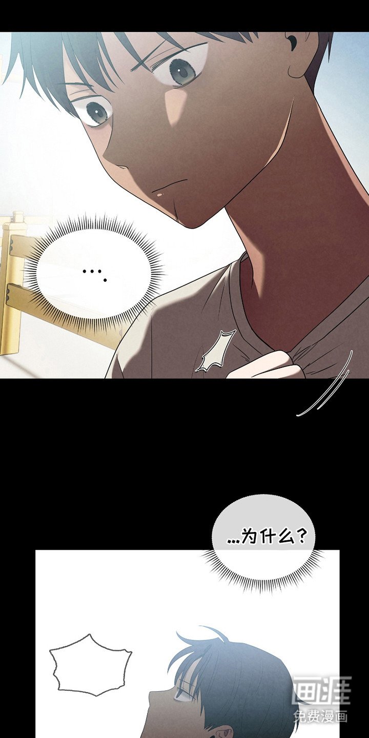 第13章：为什么