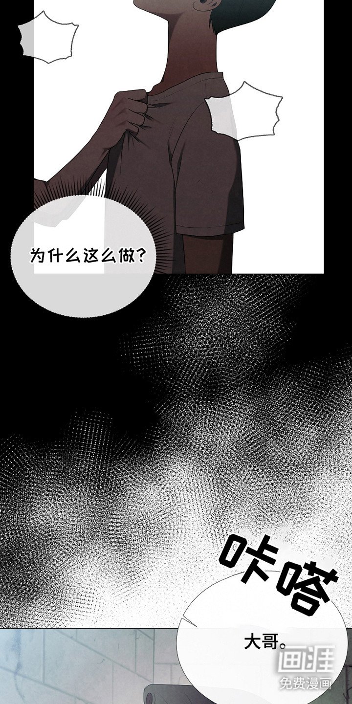 第13章：为什么