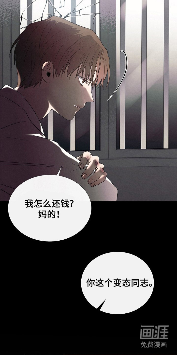 第14章：喜欢的类型