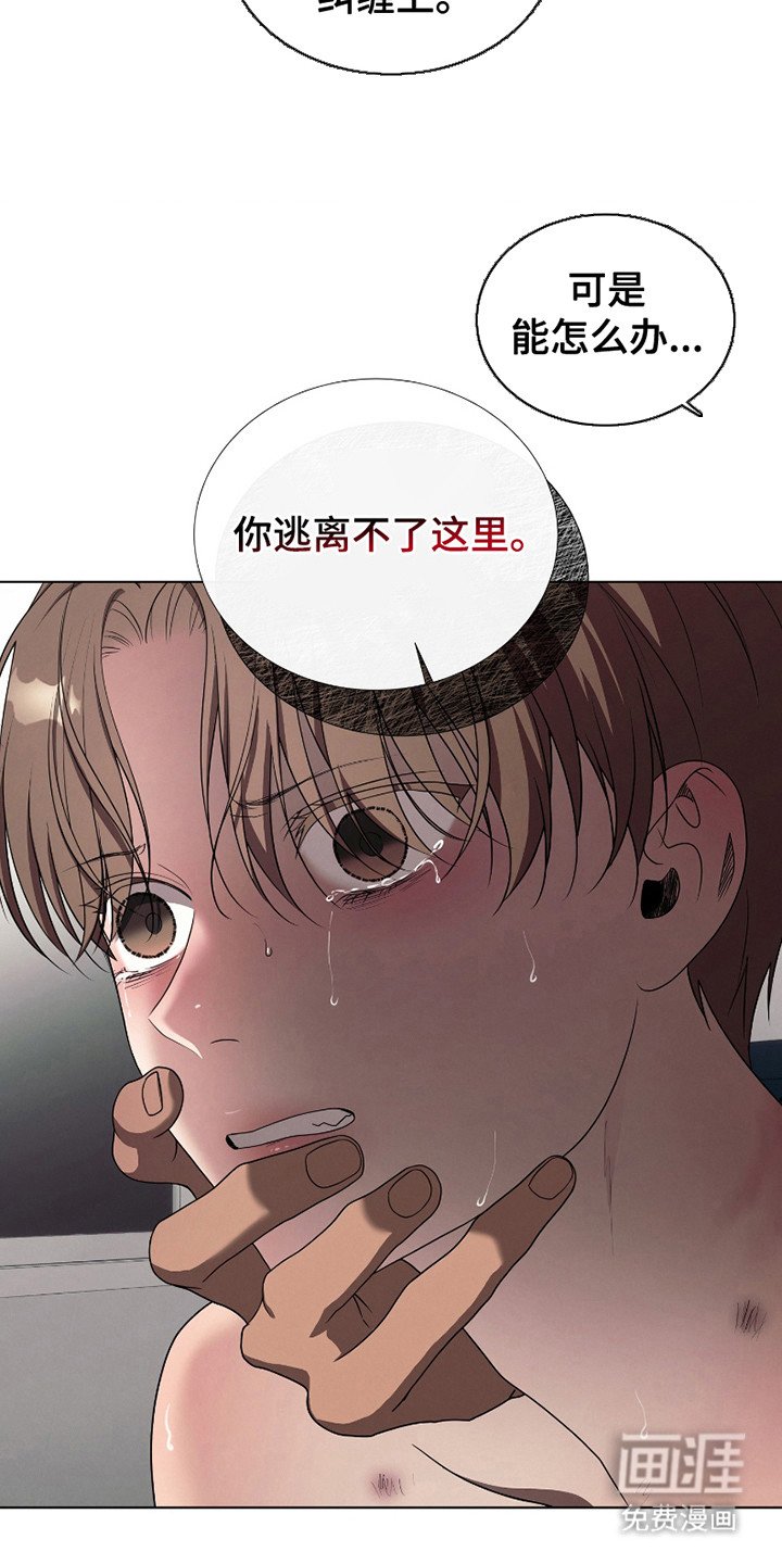 第17章：想起来了