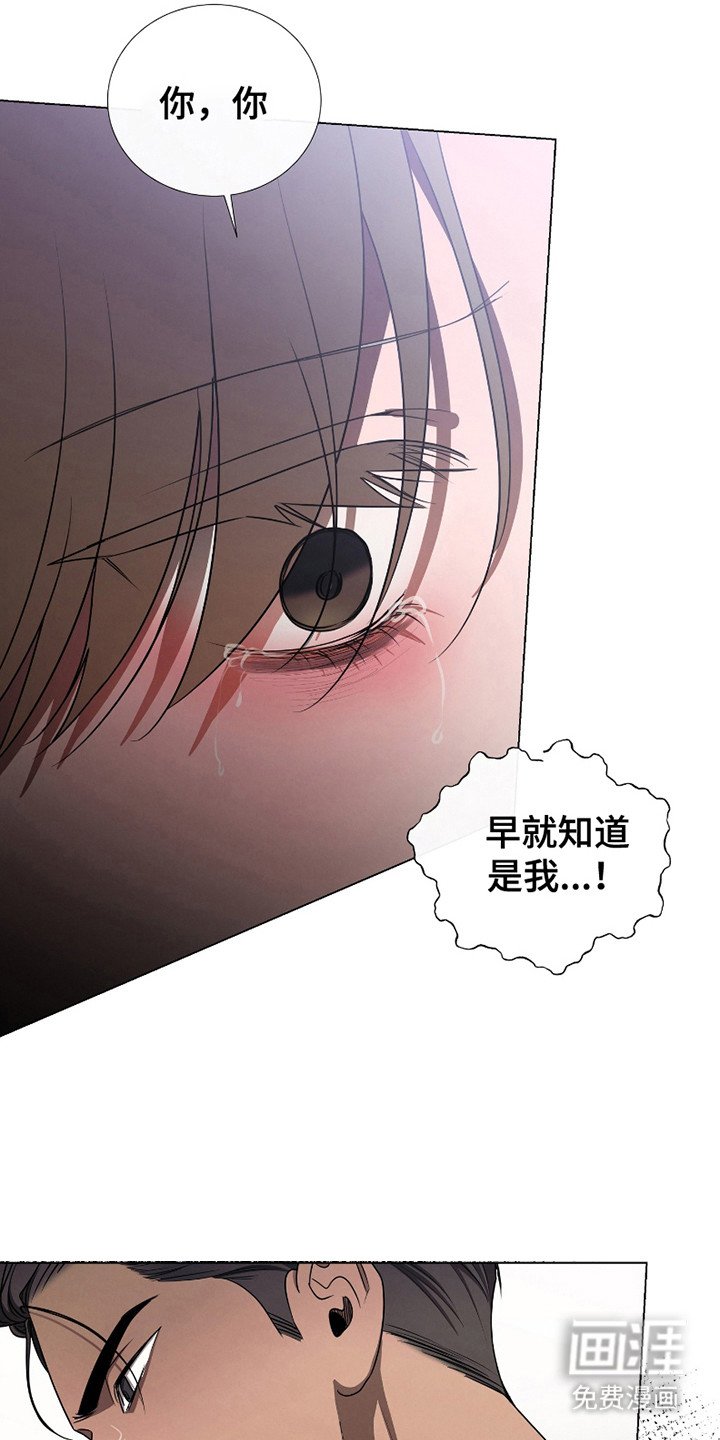第17章：想起来了