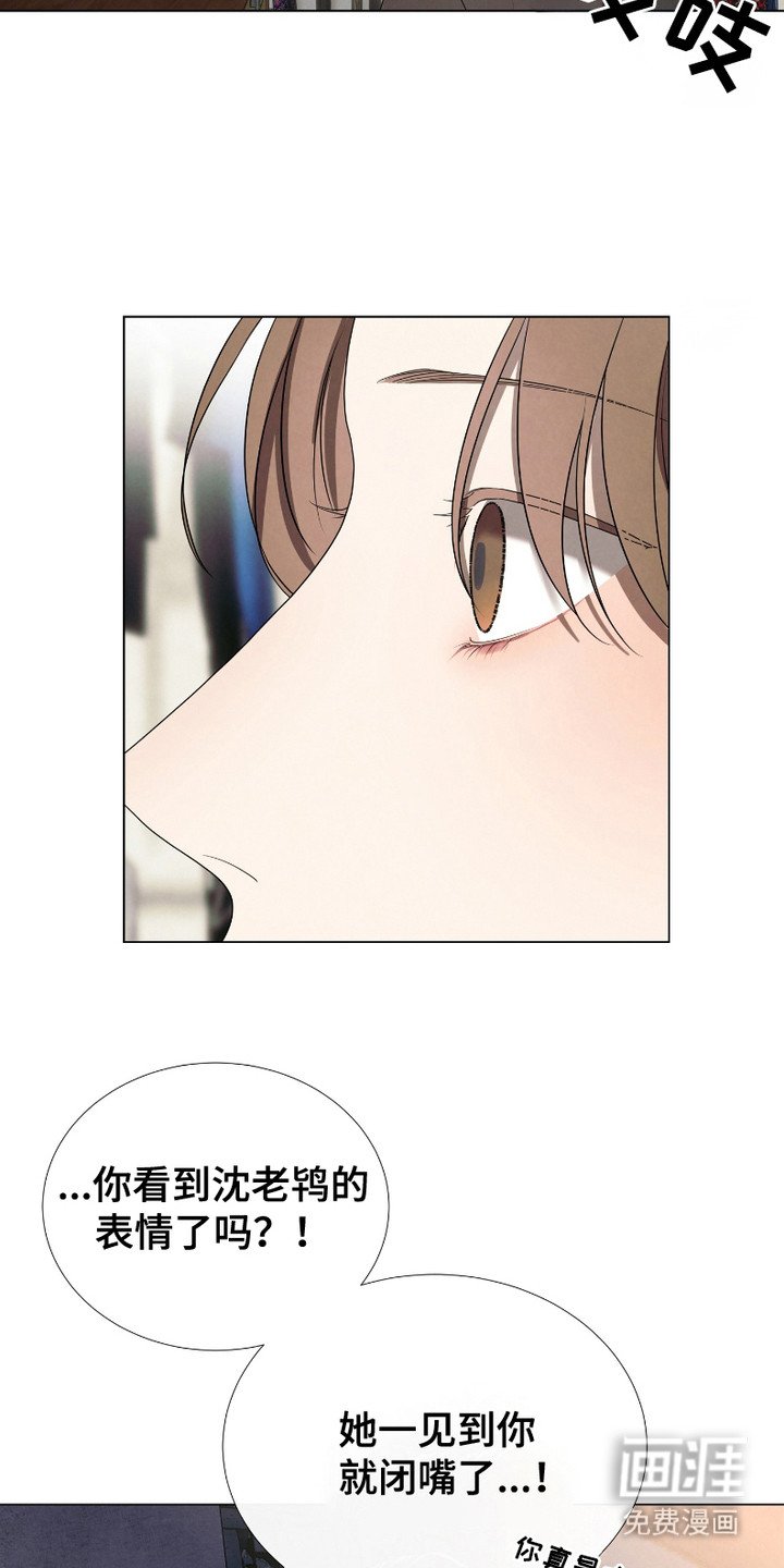 第3章：顶撞