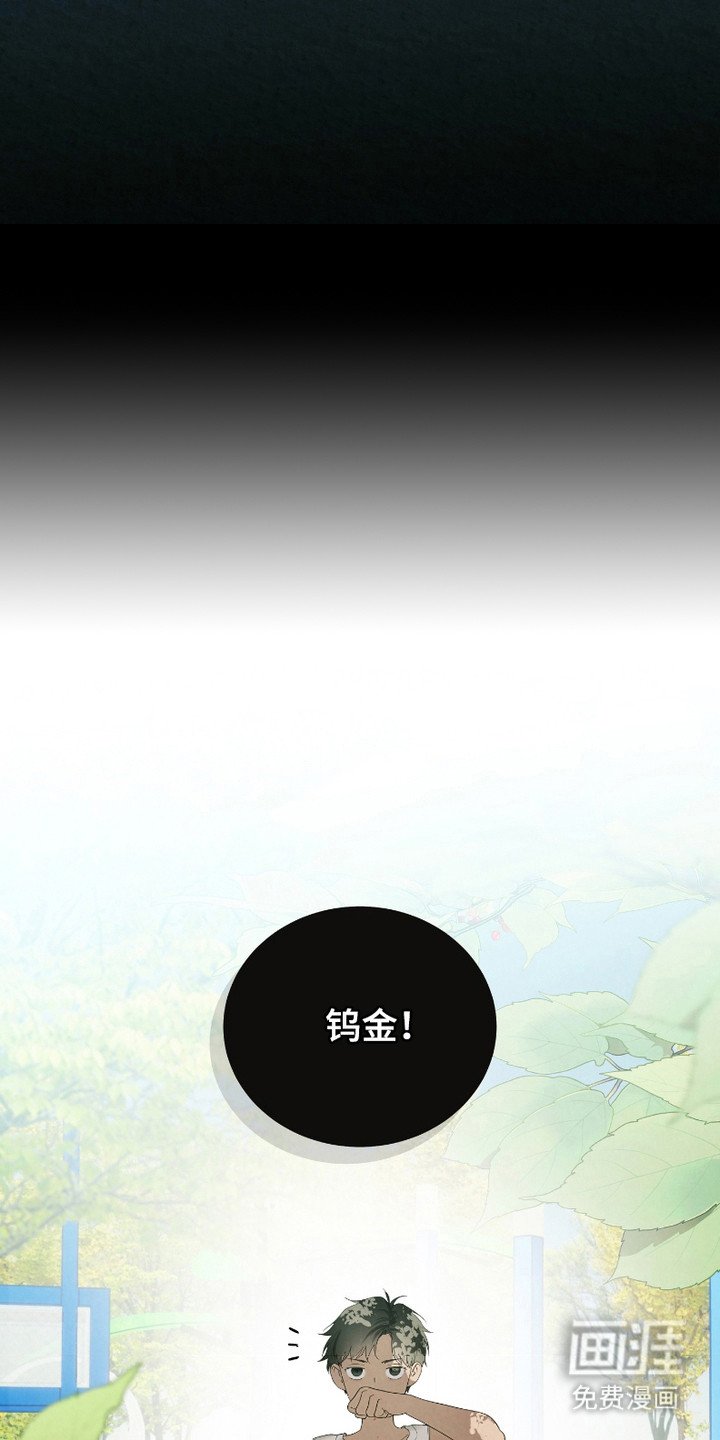 第5章：胆小鬼