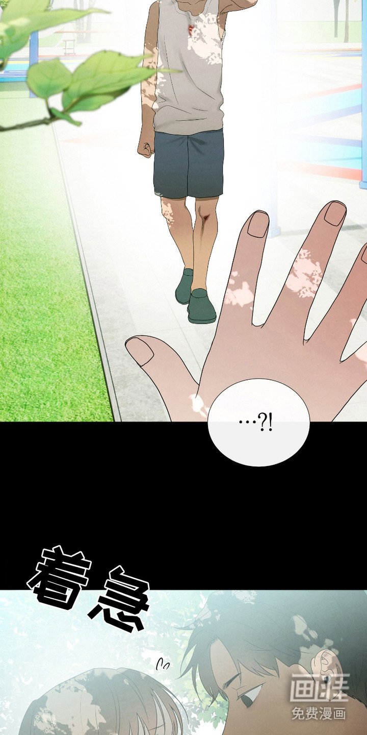 第5章：胆小鬼