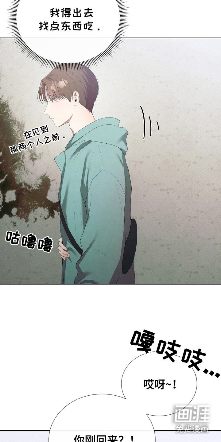 第6章：食物