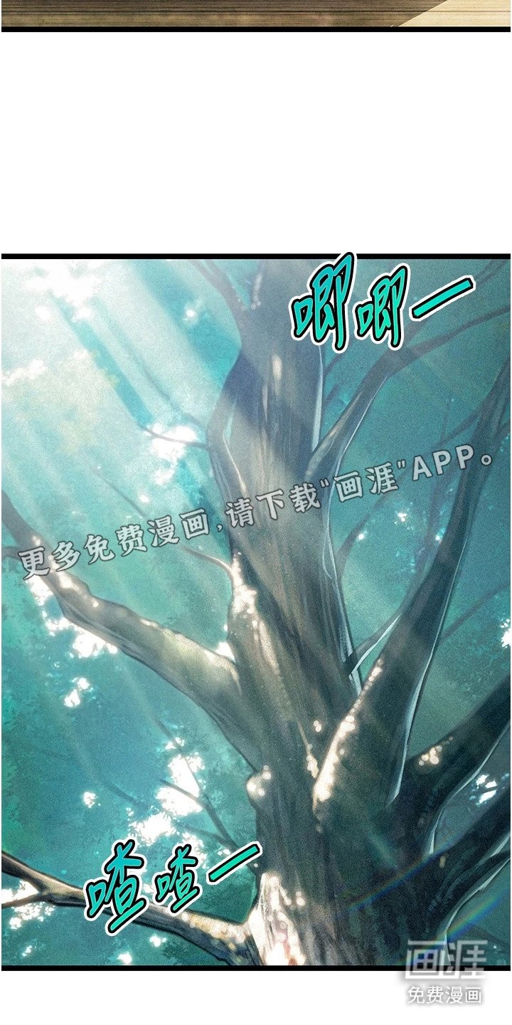 第14章：阴气