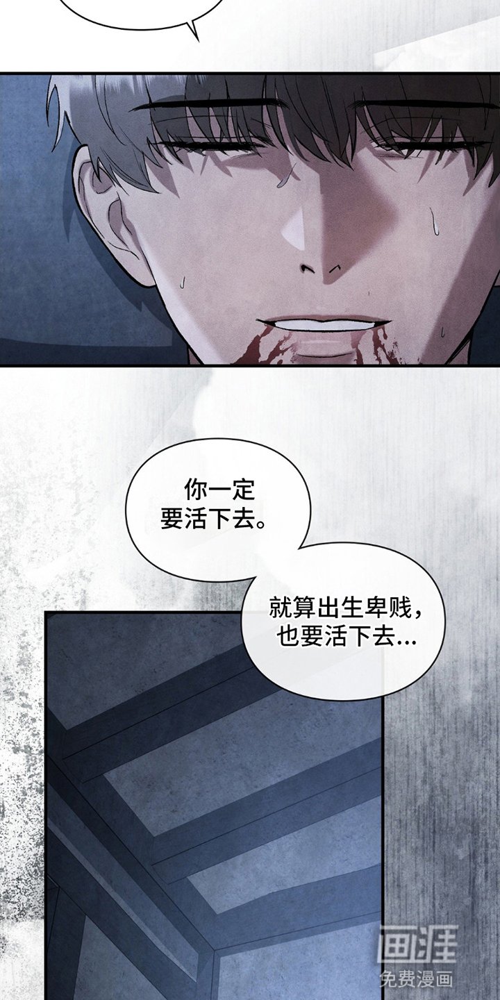 第20章：最后的希望