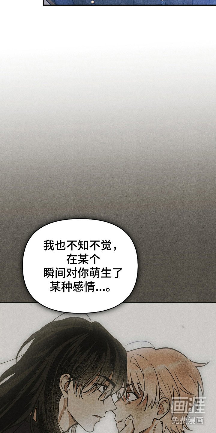 第13章：爱慕之心