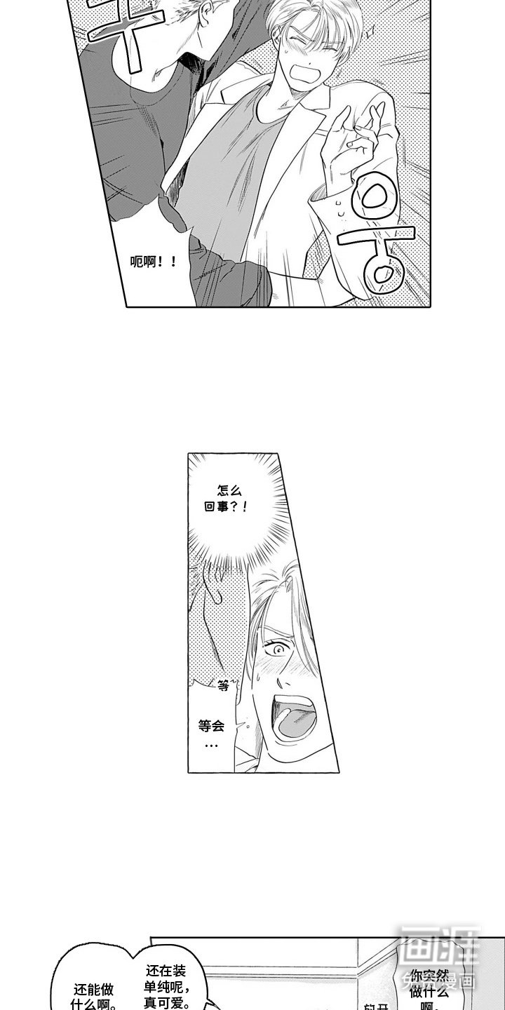 第12章：这种类型