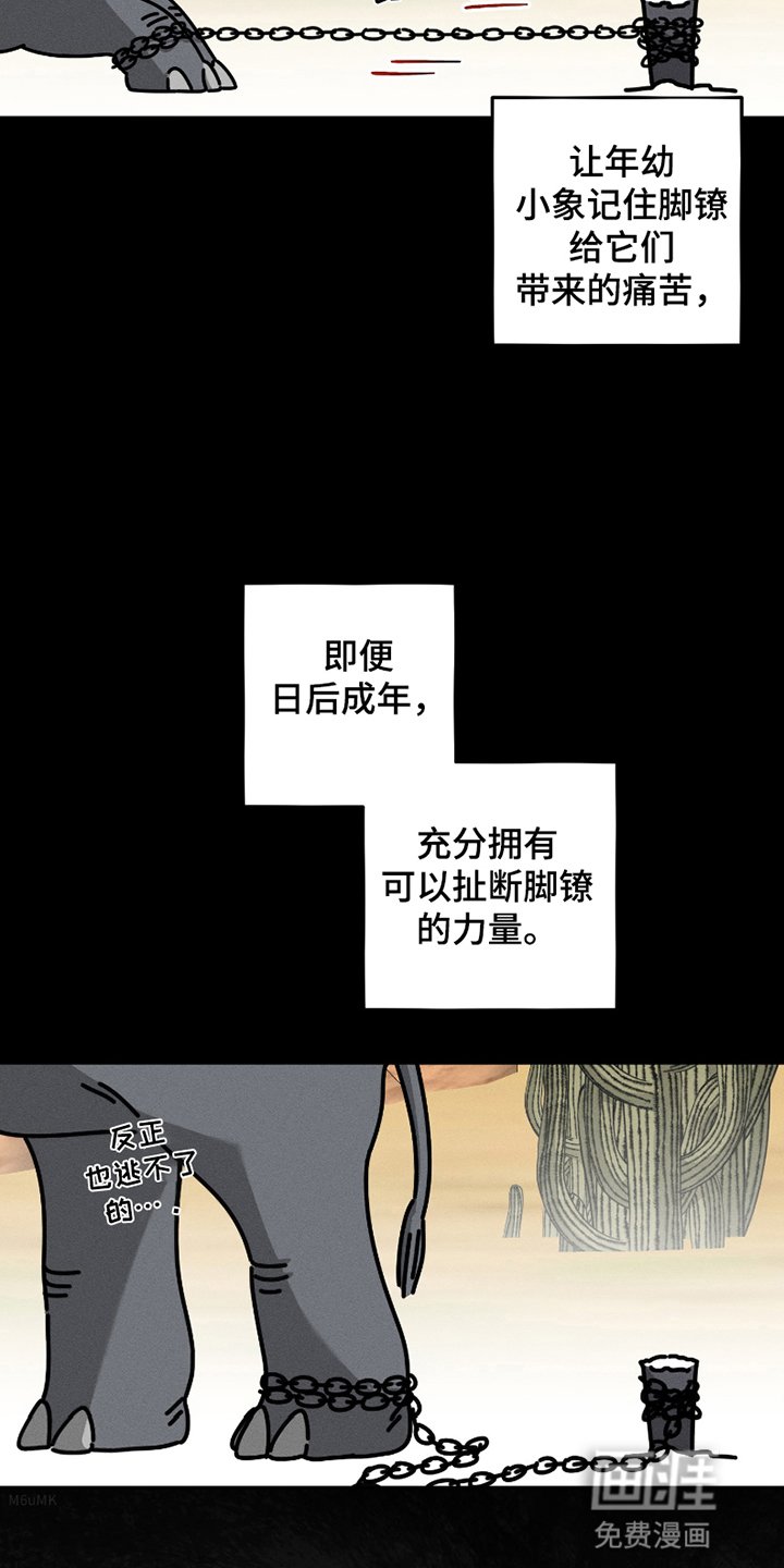 第1章：灾难