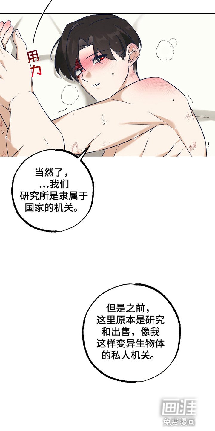 第10章：真相
