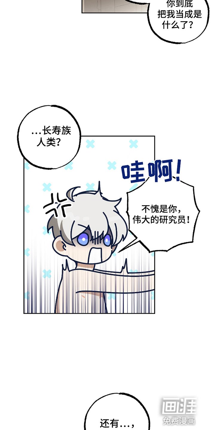 第11章：恋人（完结）