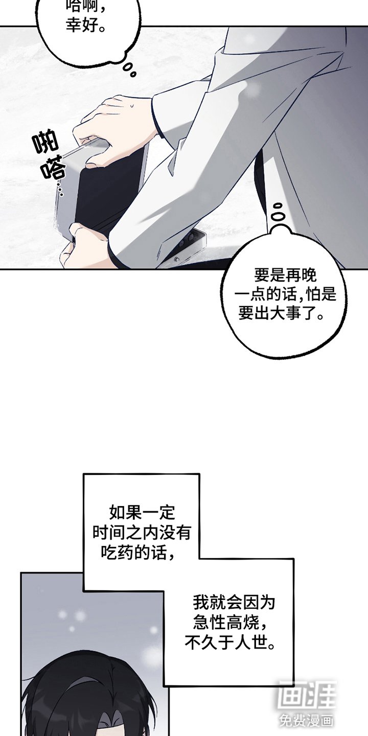 第3章：强度增加