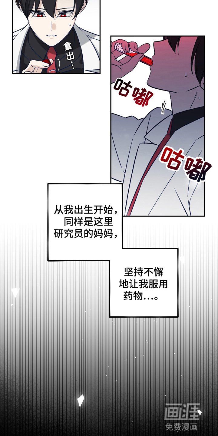 第3章：强度增加