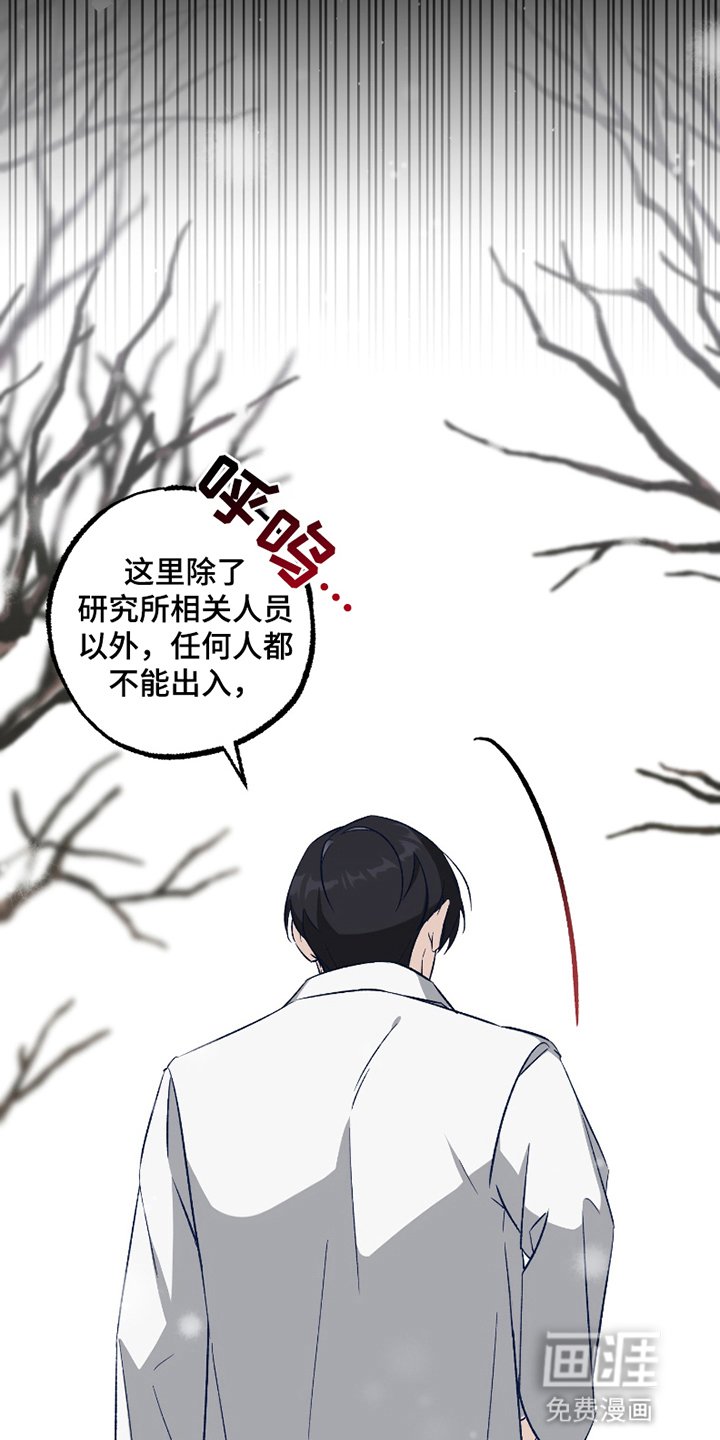 第3章：强度增加