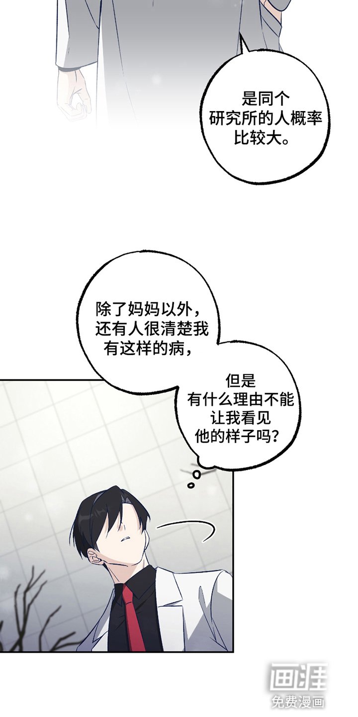 第3章：强度增加