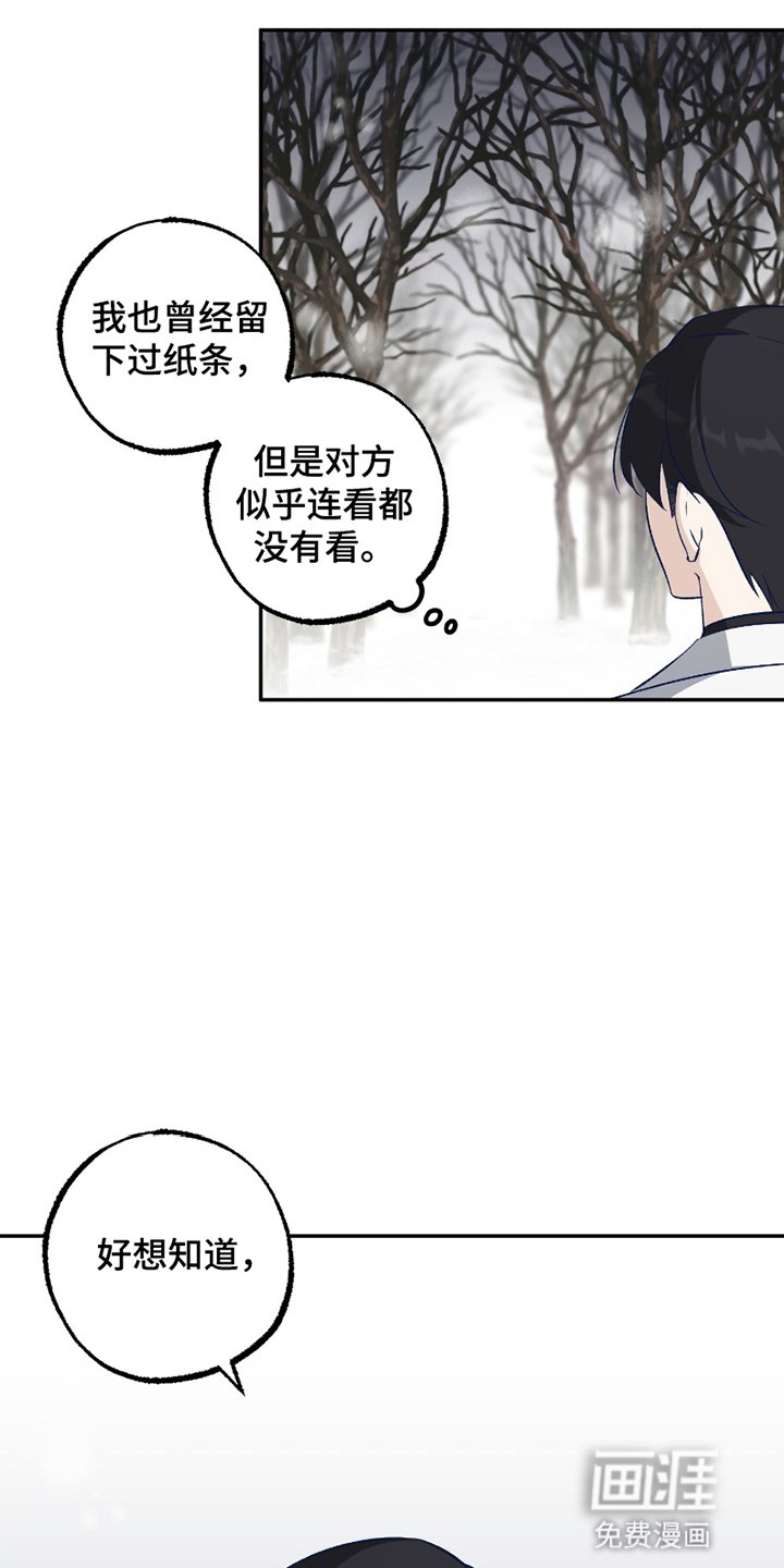 第3章：强度增加