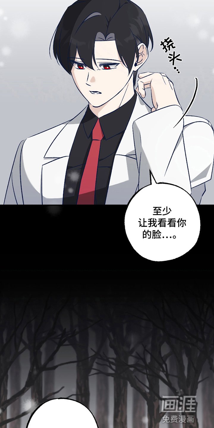第3章：强度增加