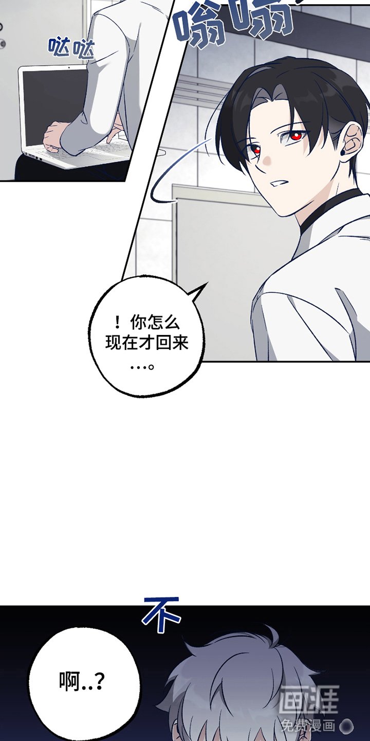 第3章：强度增加