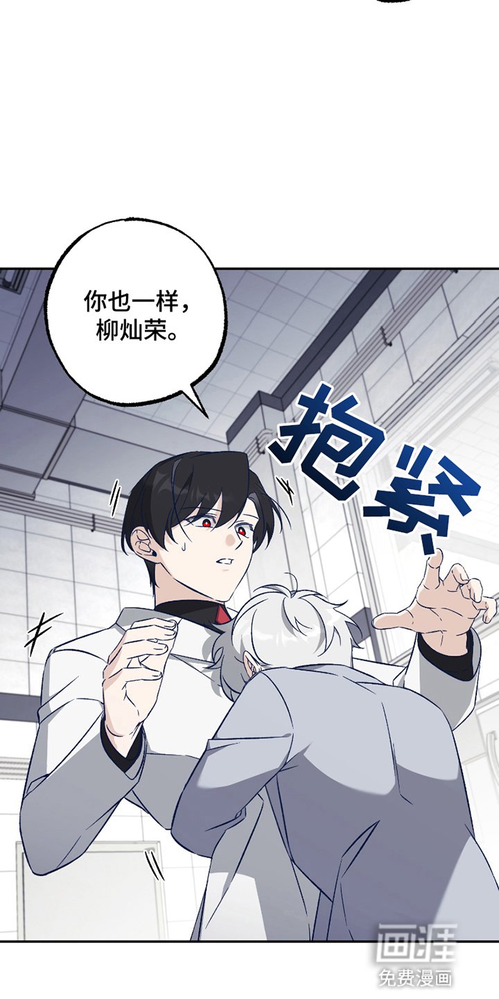 第3章：强度增加