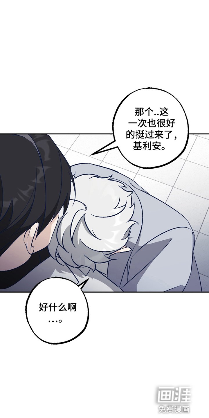 第3章：强度增加