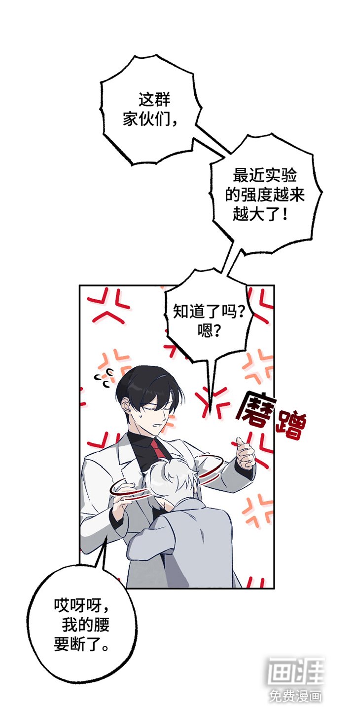 第3章：强度增加