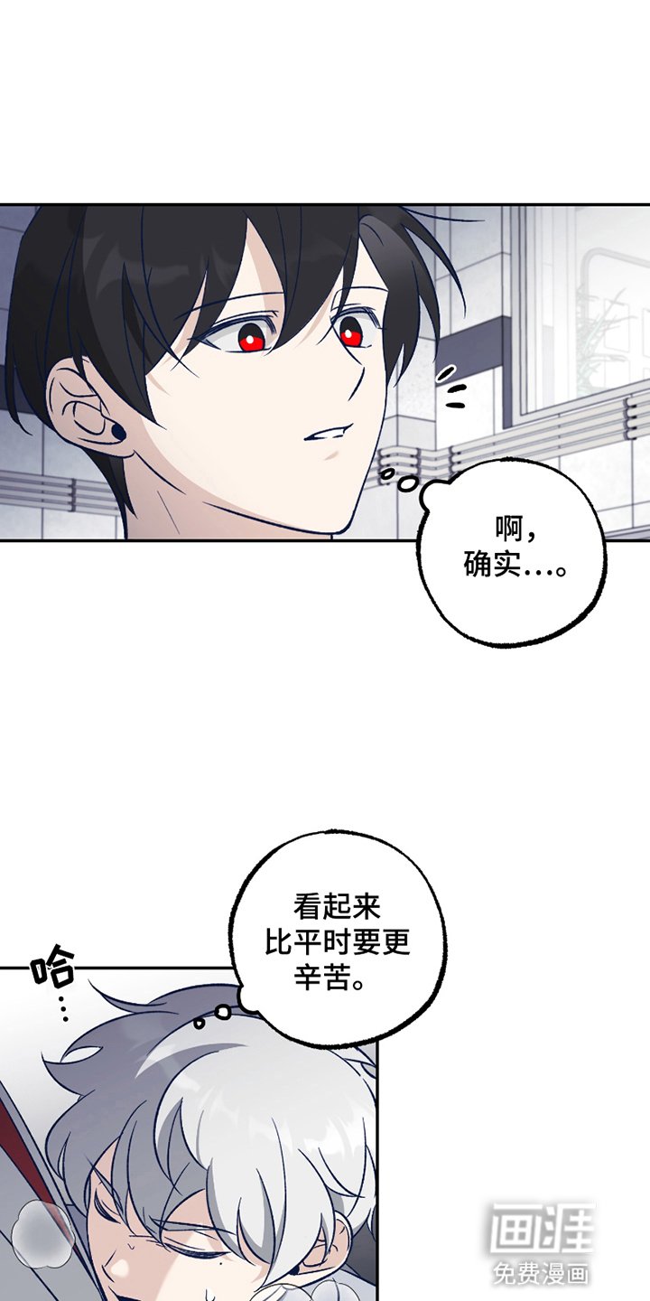 第3章：强度增加