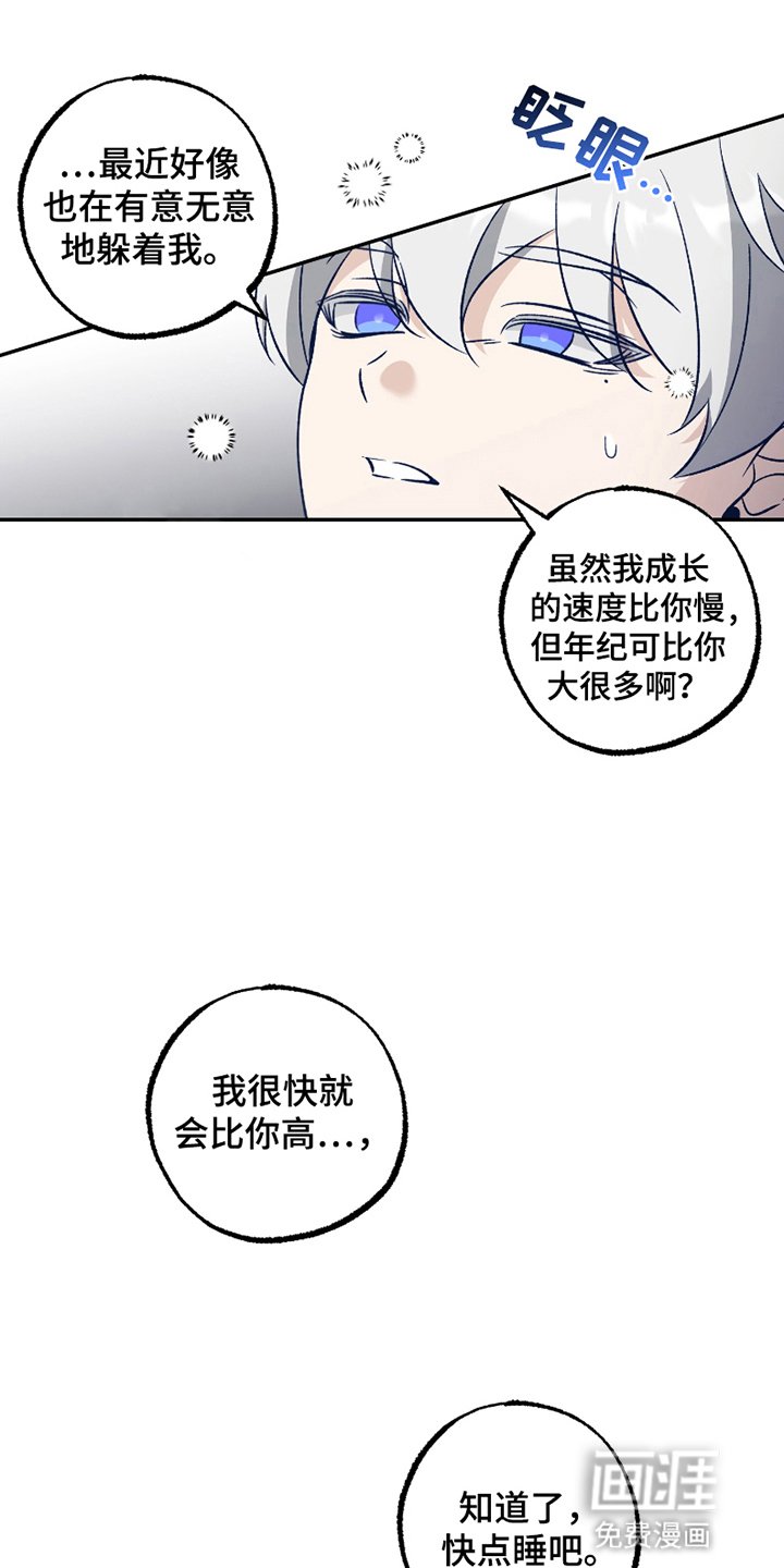 第3章：强度增加