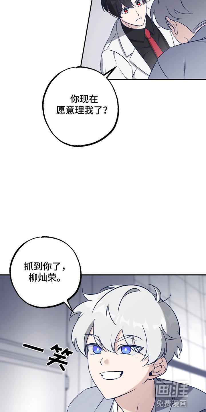 第5章：长大