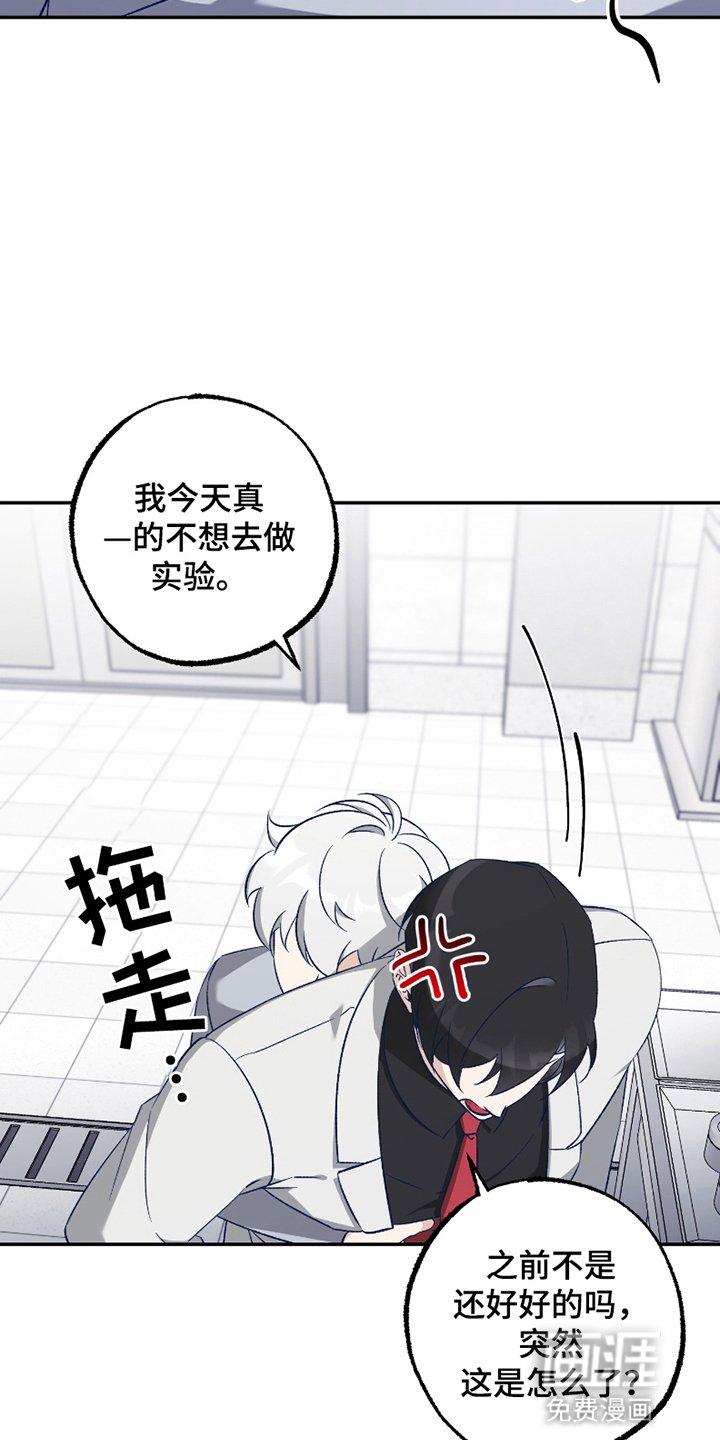 第6章：消失