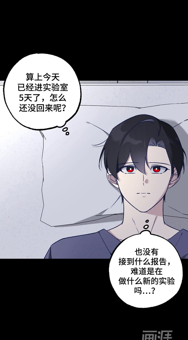 第6章：消失
