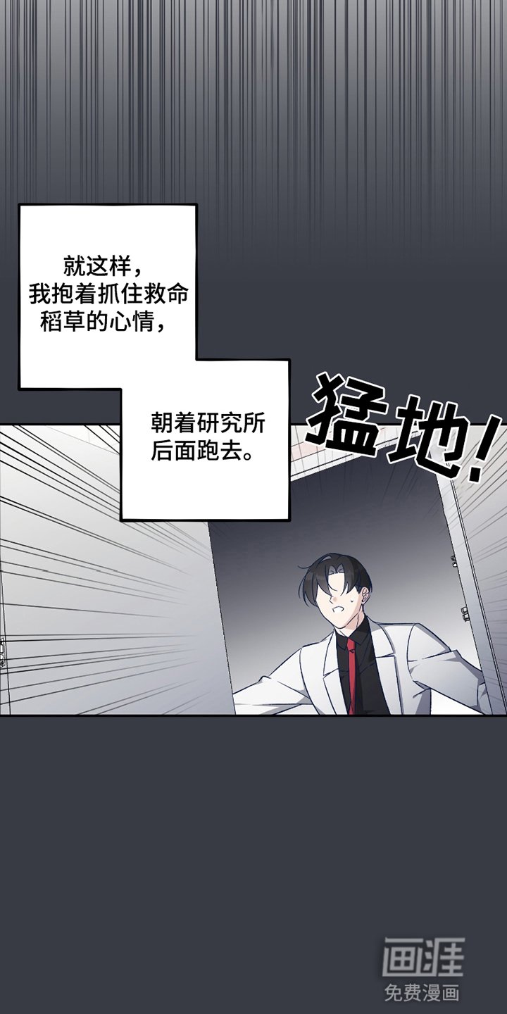 第6章：消失