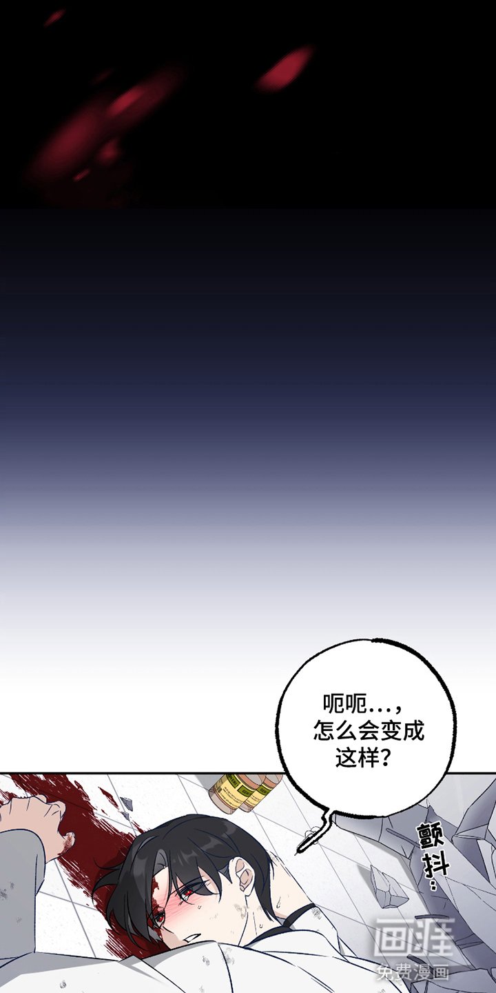 第7章：危机