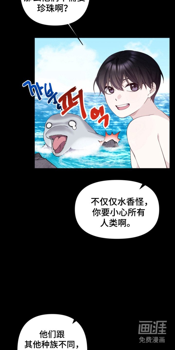第13章：无法决定