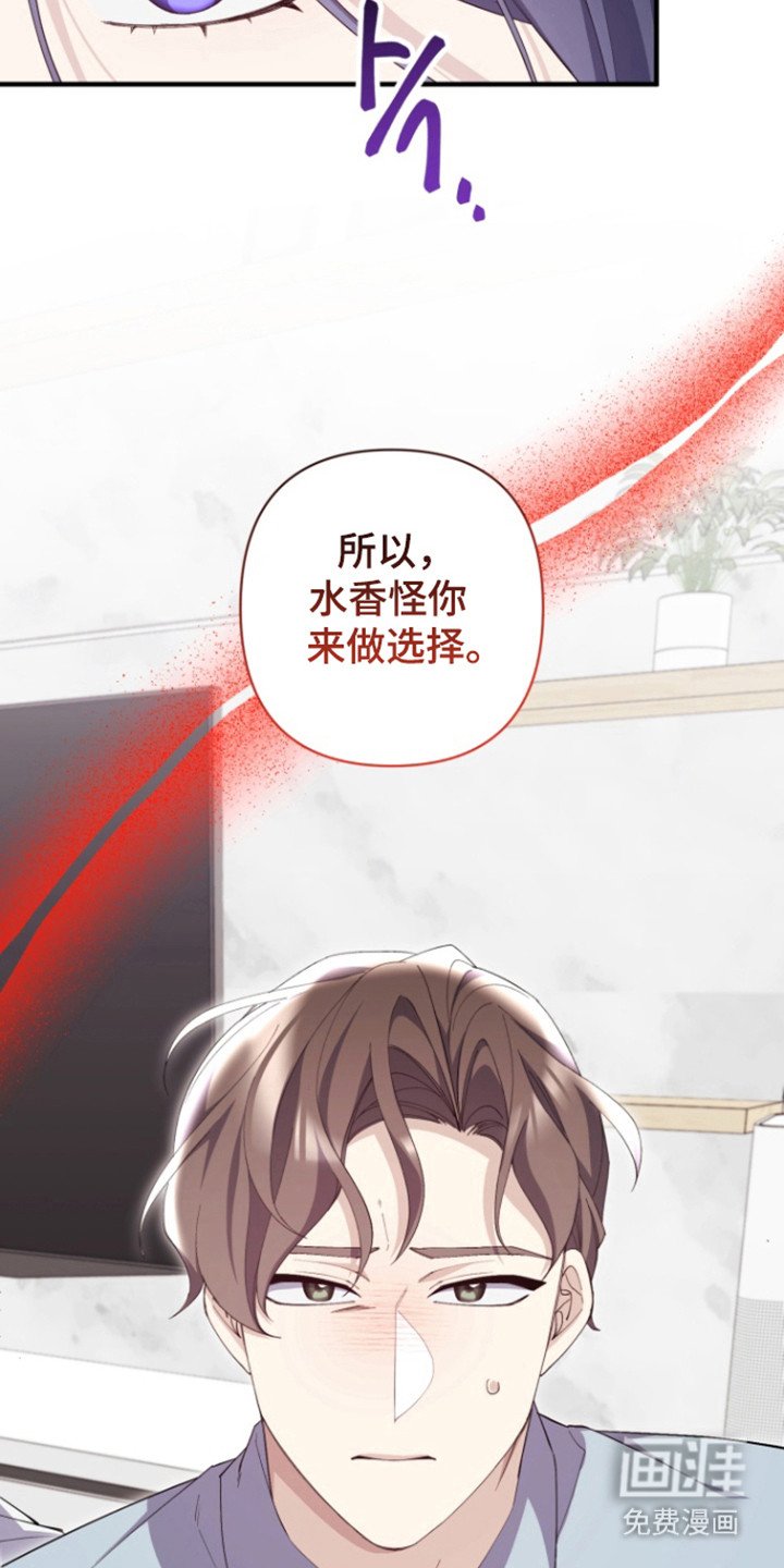 第17章：做出选择