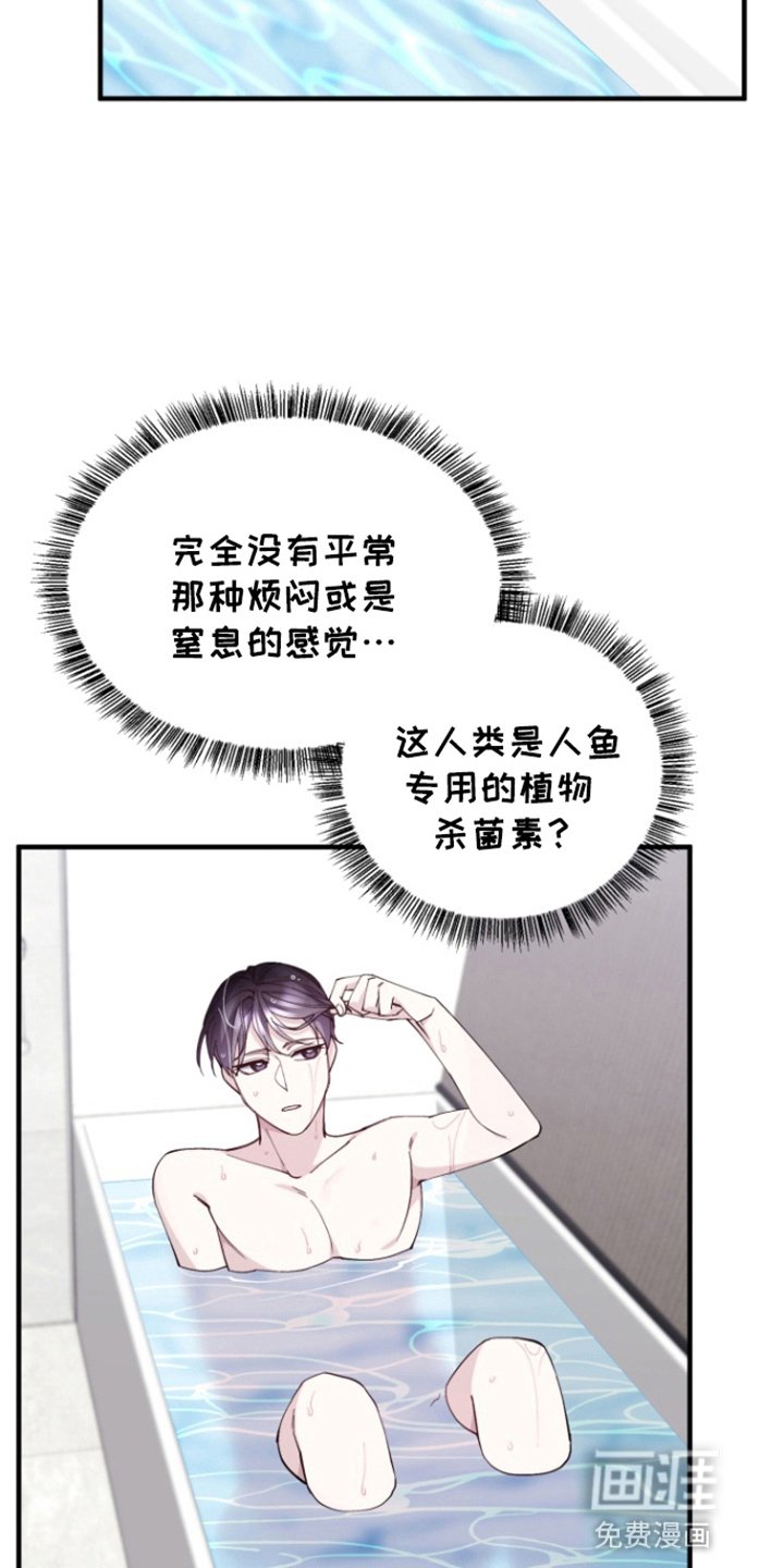 第5章：秘密暴露