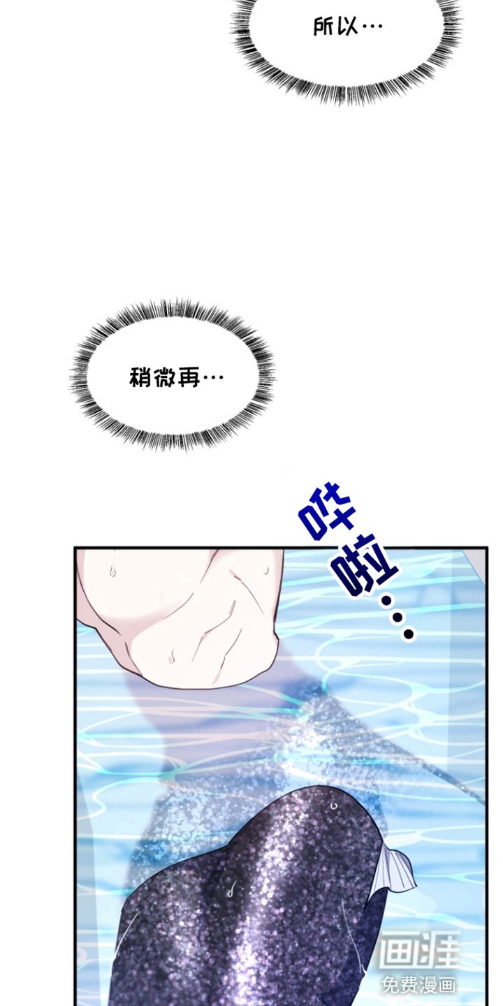 第5章：秘密暴露