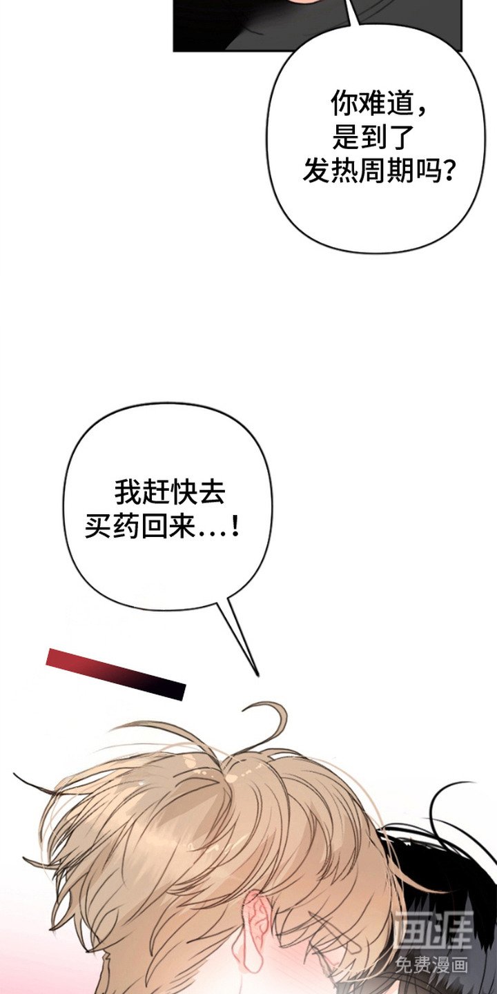 第1章：发热期
